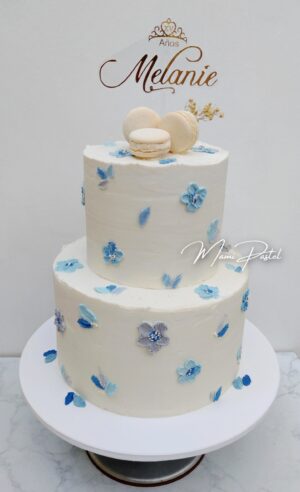 Quinceaños 03